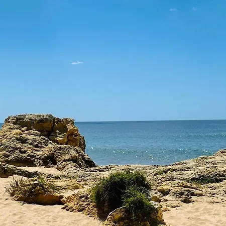 Bicos M By Check-in Portugal Apartamento *