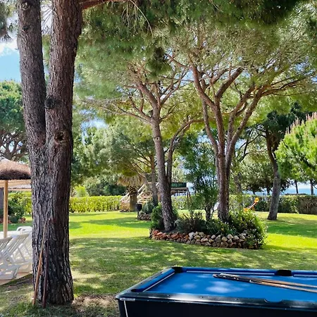 Bicos M By Check-in Portugal Daire *